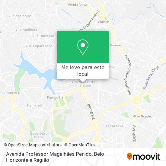 Avenida Professor Magalhães Penido mapa