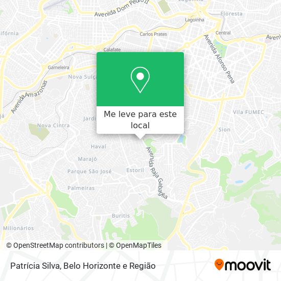 Patrícia Silva mapa