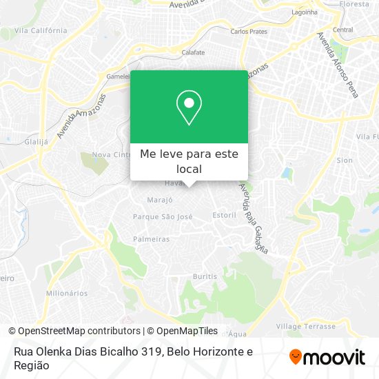 Rua Olenka Dias Bicalho 319 mapa