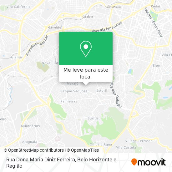 Rua Dona Maria Diniz Ferreira mapa