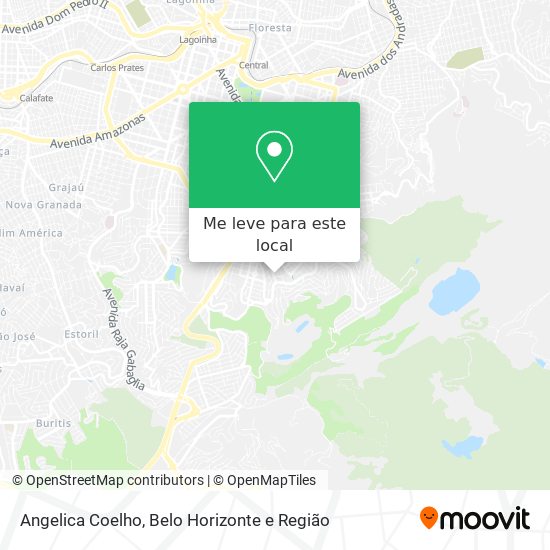 Angelica Coelho mapa