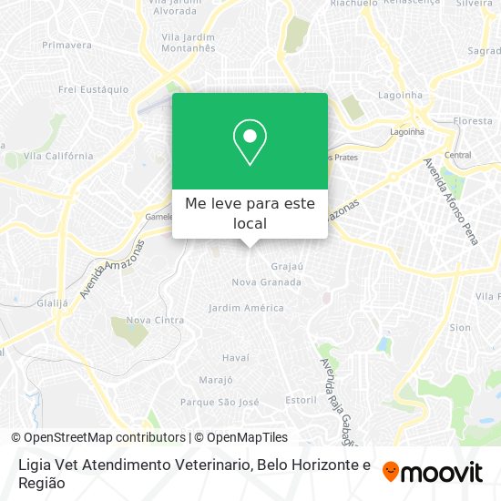 Ligia Vet Atendimento Veterinario mapa