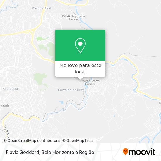 Flavia Goddard mapa