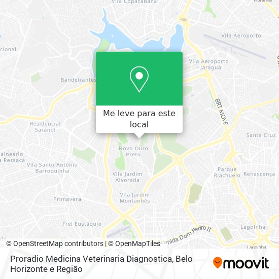 Proradio Medicina Veterinaria Diagnostica mapa