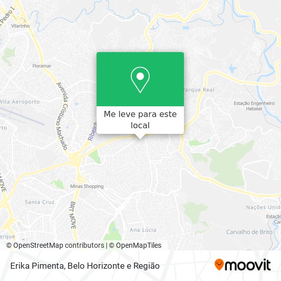Erika Pimenta mapa