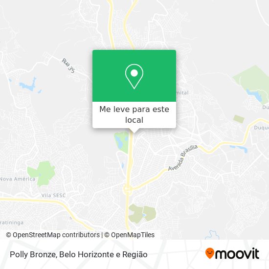 Polly Bronze mapa