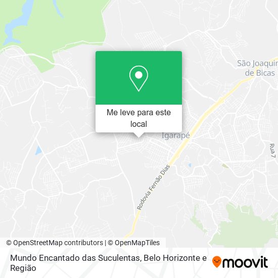 Mundo Encantado das Suculentas mapa