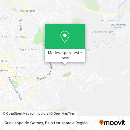 Rua Leopoldo Gomes mapa