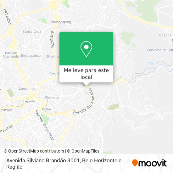 Avenida Silviano Brandão 3001 mapa