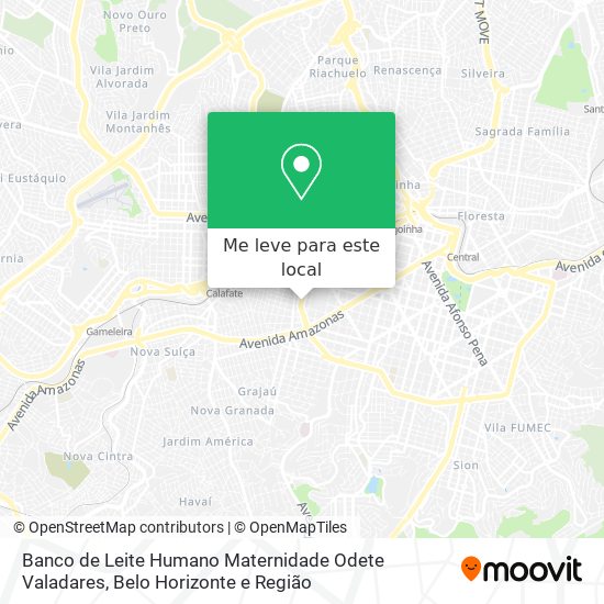 Banco de Leite Humano Maternidade Odete Valadares mapa