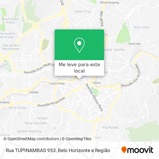 Rua TUPINAMBAS 953 mapa