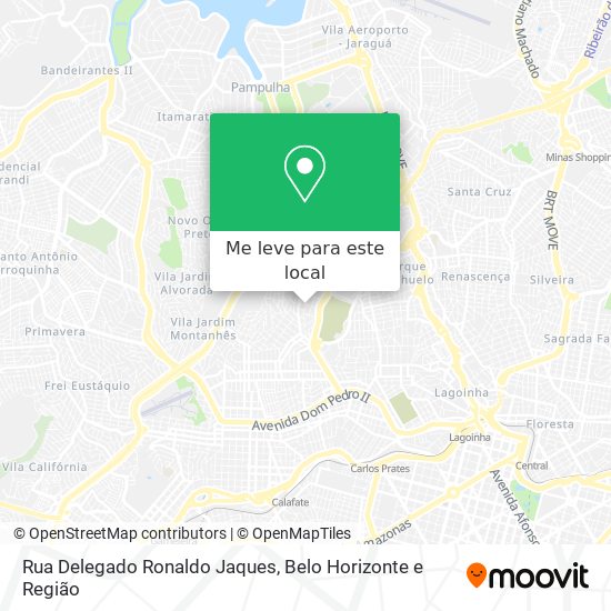 Rua Delegado Ronaldo Jaques mapa