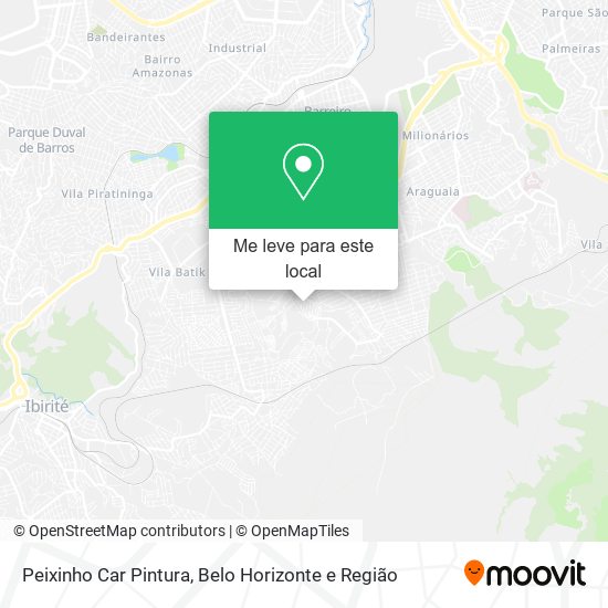 Peixinho Car Pintura mapa
