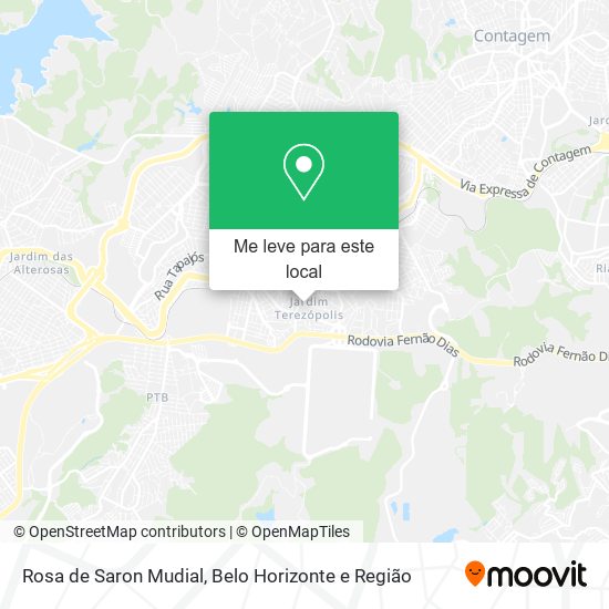 Rosa de Saron Mudial mapa