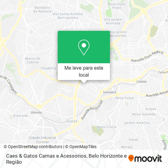 Caes & Gatos Camas e Acessorios mapa