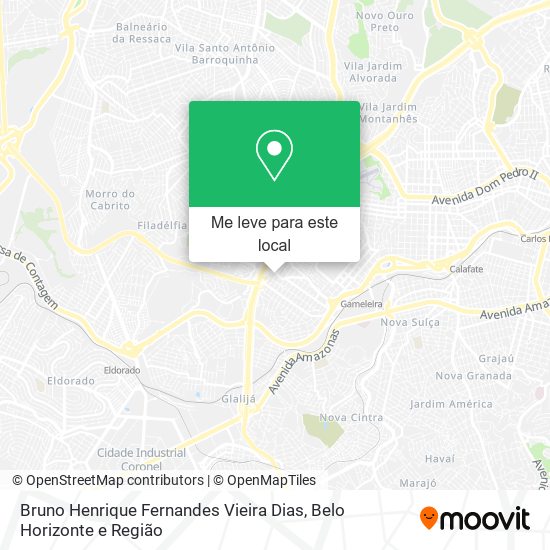 Bruno Henrique Fernandes Vieira Dias mapa