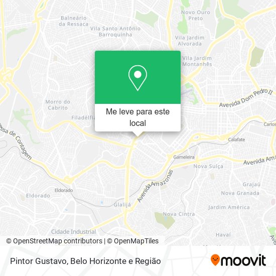 Pintor Gustavo mapa