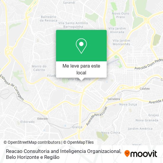 Reacao Consultoria and Inteligencia Organizacional mapa