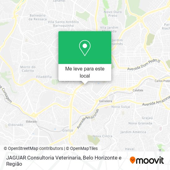 JAGUAR Consultoria Veterinaria mapa