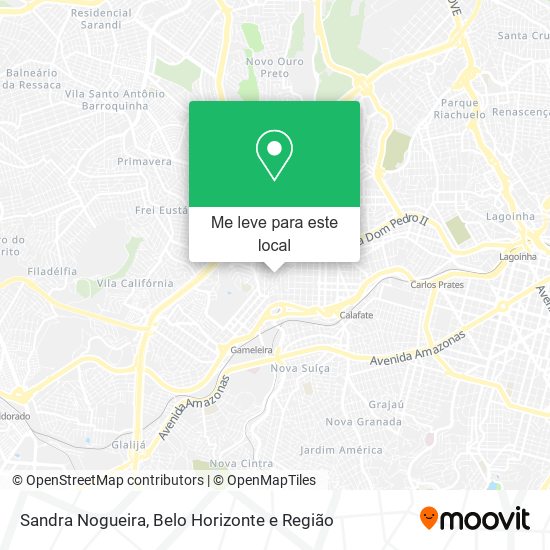 Sandra Nogueira mapa