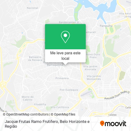Jacque Frutas Ramo Frutifero mapa