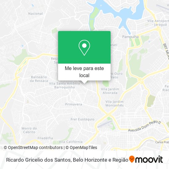 Ricardo Gricelio dos Santos mapa