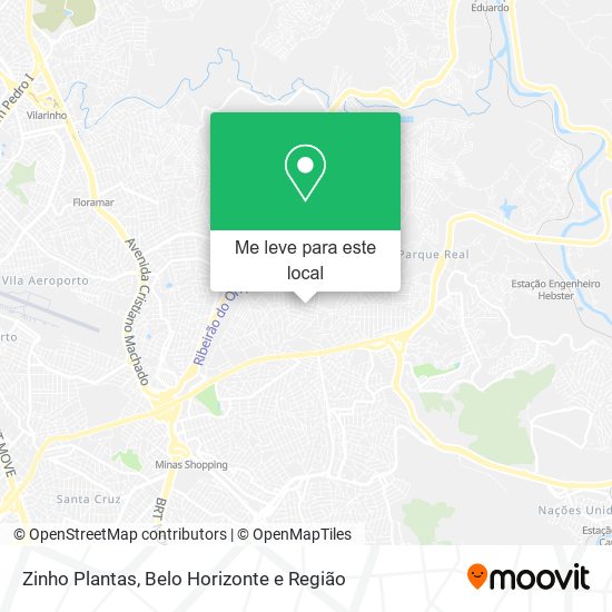 Zinho Plantas mapa