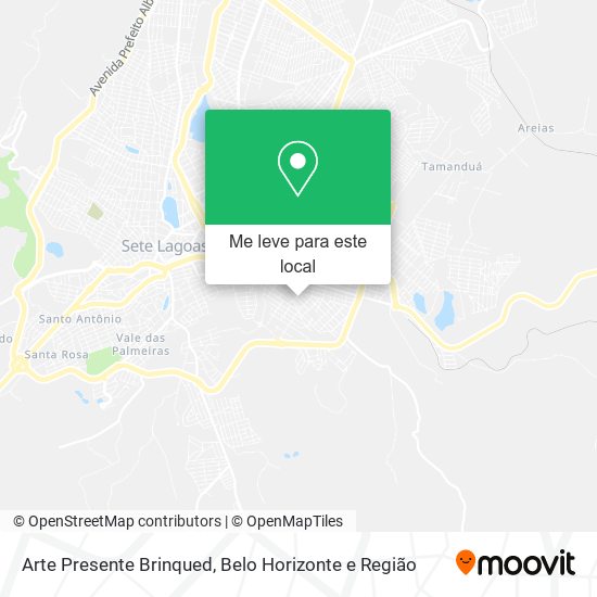 Arte Presente Brinqued mapa