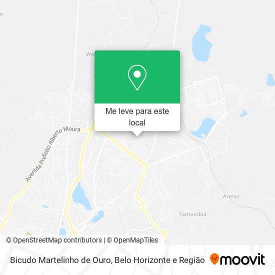 Bicudo Martelinho de Ouro mapa