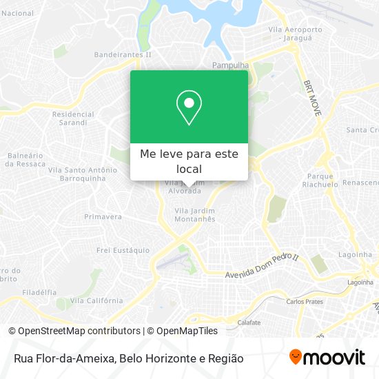 Rua Flor-da-Ameixa mapa