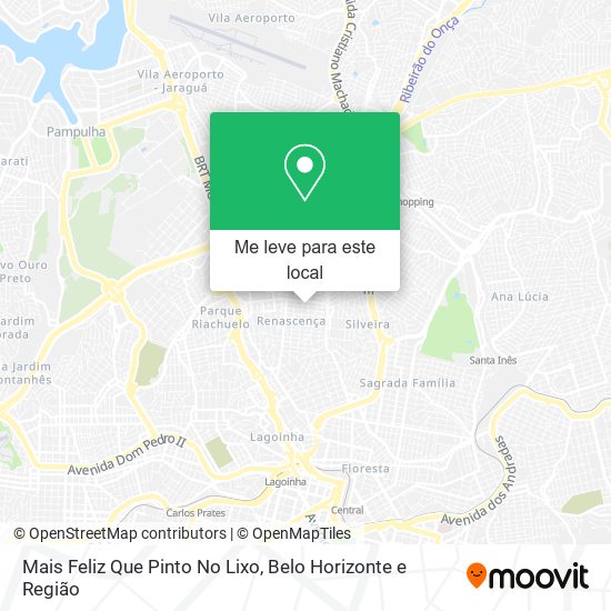 Mais Feliz Que Pinto No Lixo mapa