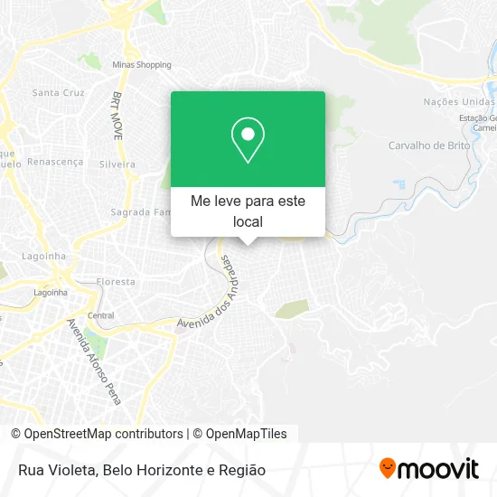 Rua Violeta mapa
