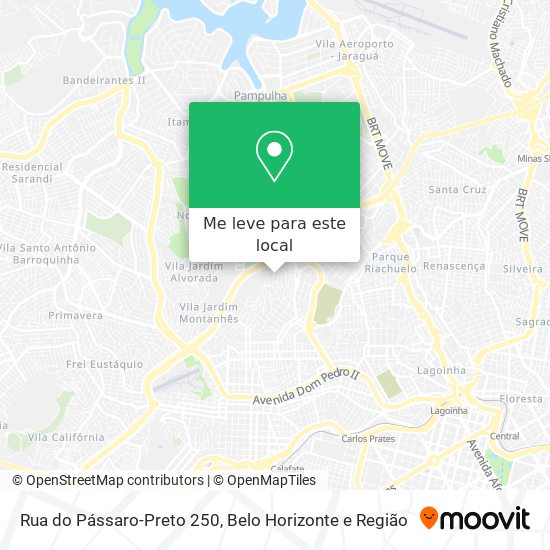 Rua do Pássaro-Preto 250 mapa