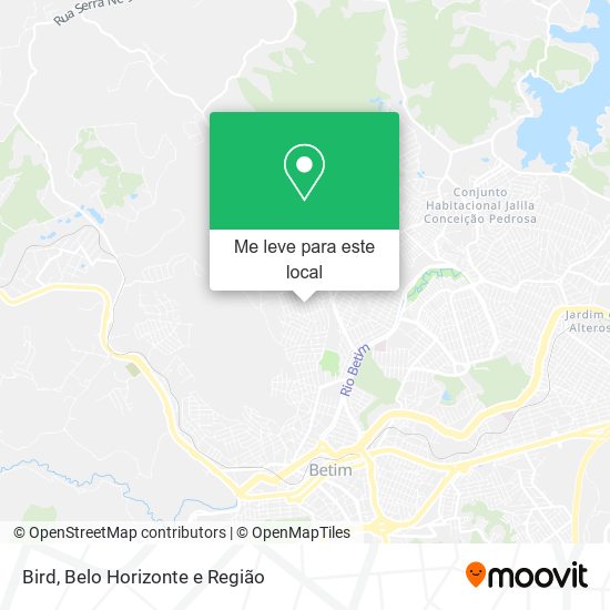 Bird mapa