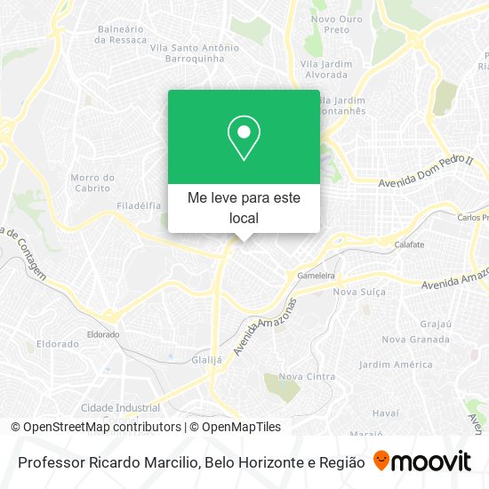 Professor Ricardo Marcilio mapa