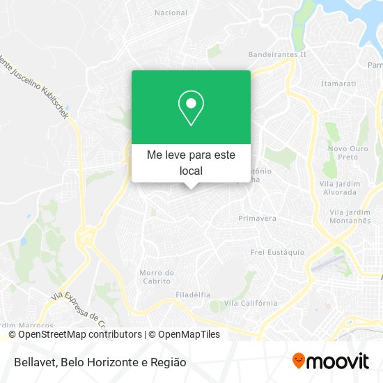 Bellavet mapa