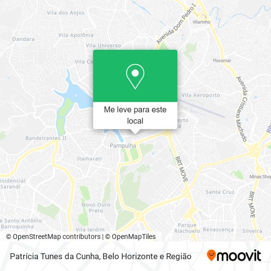 Patrícia Tunes da Cunha mapa