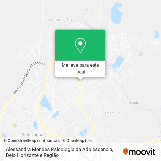 Alessandra Mendes Psicologia da Adolescencia mapa