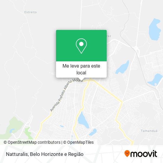 Natturalis mapa