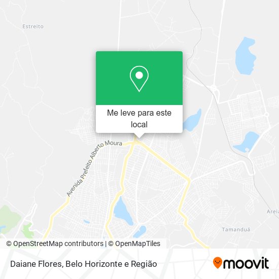 Daiane Flores mapa