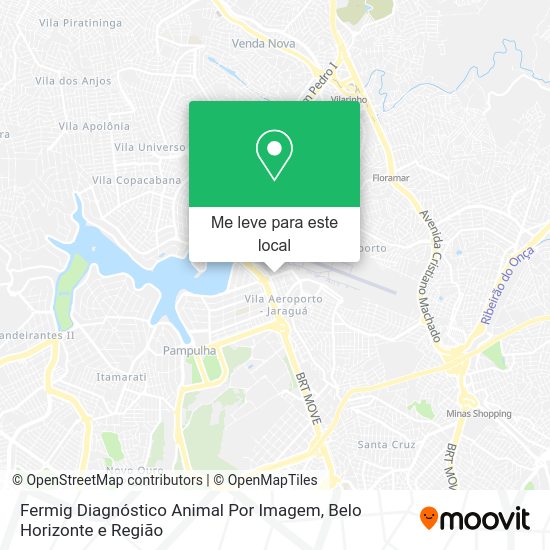 Fermig Diagnóstico Animal Por Imagem mapa