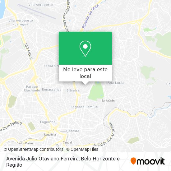 Avenida Júlio Otaviano Ferreira mapa