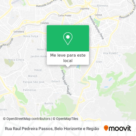 Rua Raul Pedreira Passos mapa