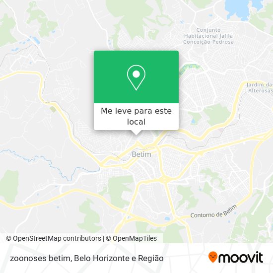 zoonoses betim mapa