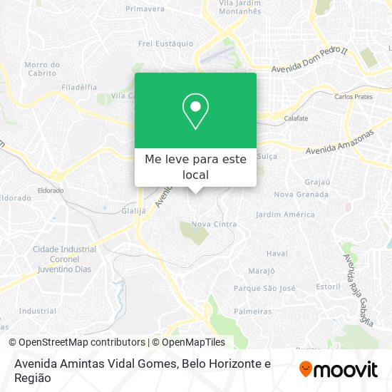 Avenida Amintas Vidal Gomes mapa