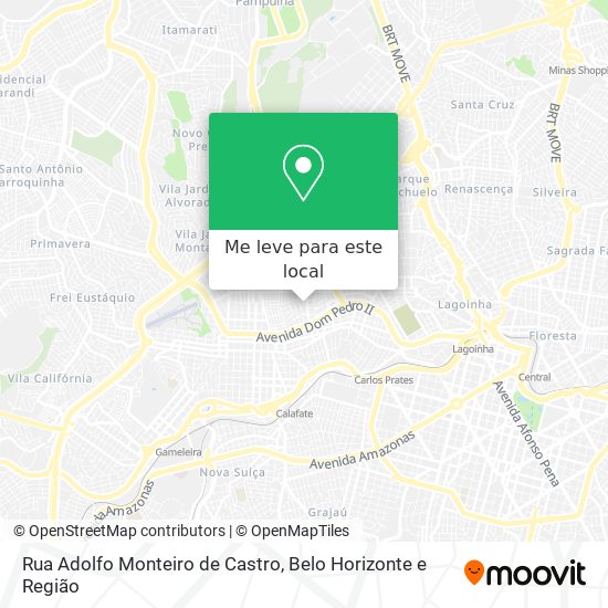 Rua Adolfo Monteiro de Castro mapa