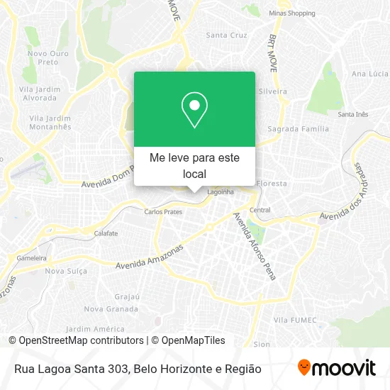 Rua Lagoa Santa 303 mapa
