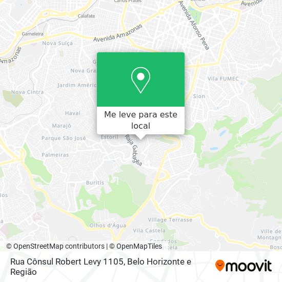 Rua Cônsul Robert Levy 1105 mapa