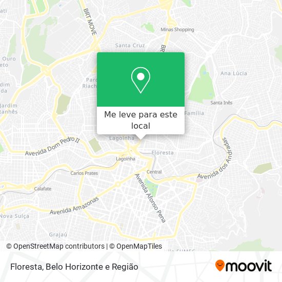 Floresta mapa