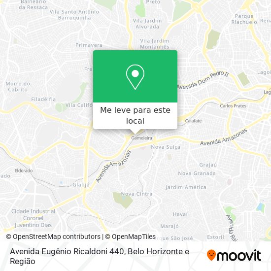Avenida Eugênio Ricaldoni 440 mapa